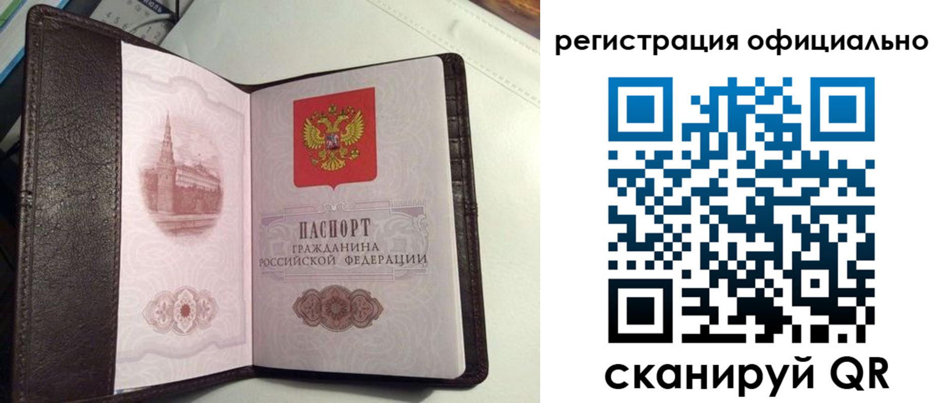 прописка ребенка в Курчатове