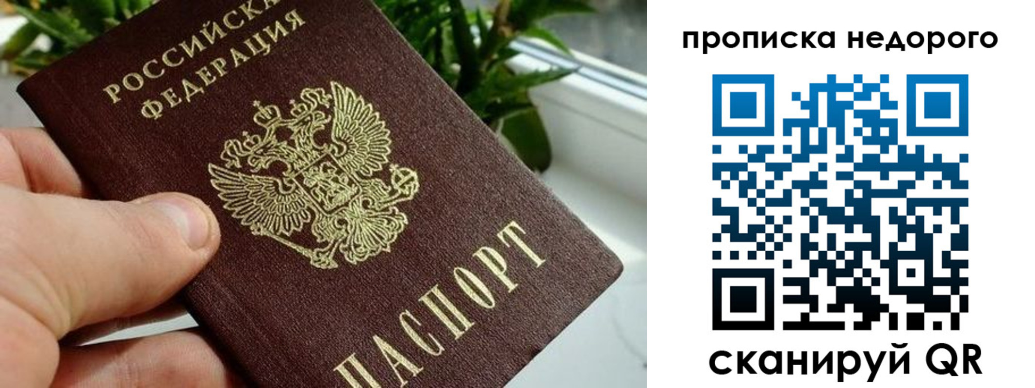 прописка для кредита в Курчатове